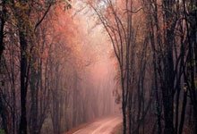 世俱杯奖金细节公布，国米和尤文最多有多少入账？.