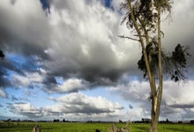 雷竞技：2025年01月11日球会友谊塔斯马尼亚柏林vs蓝白90柏林历史战绩，交战记录，比分预测.