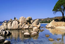 雷竞技：魔术师：约基奇绝妙传球让我想当年 他和字母哥是NBA现役最强.